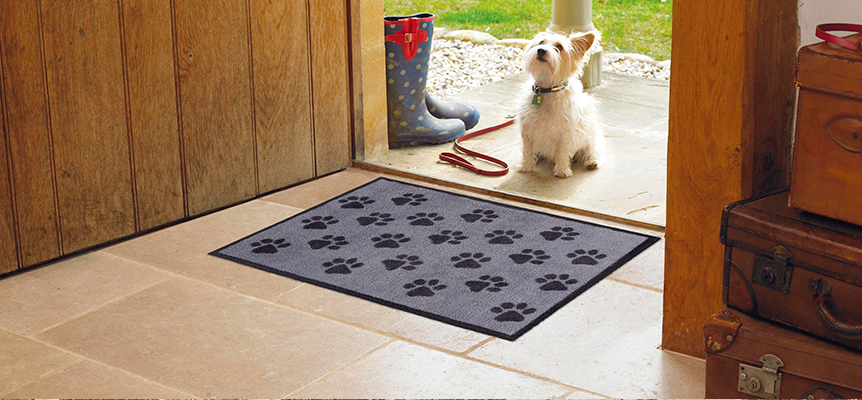 Robin Doormat in Grey, Machine Washable Christmas Indoor Doormat for  Hallway, Entrances, Anti-slip Rubber Backed Door Mat 