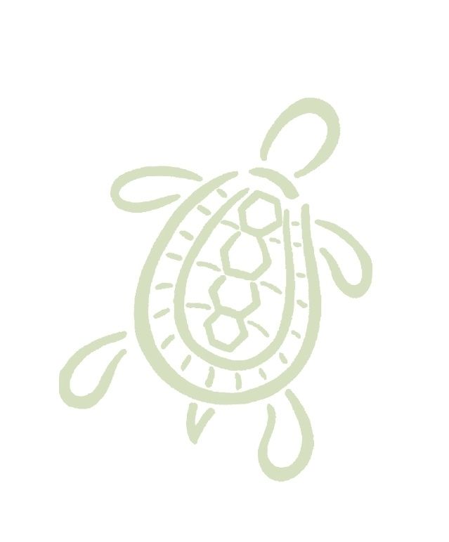 Turtle Care - Official Turtle Mat®